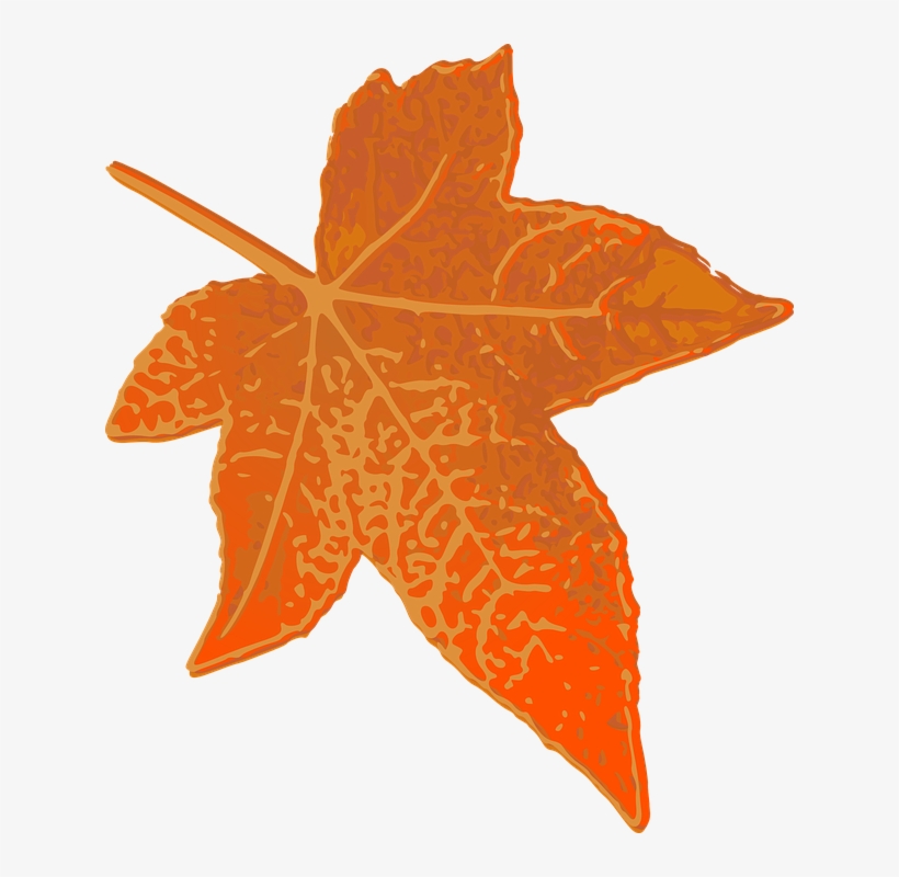 Maple Leaf Clipart Brown - Brown Leaves Transparent Clip Art, transparent png #2508640