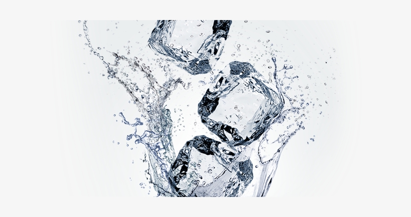 We Believe The Only Thing In Your Water Should Be Great - Amgo Cube Stainless Steel Whiskey Stones Whiskey Rocks, transparent png #2509894