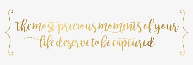 Wedding Quotes Png Photography Quotes Png Free Transparent Png