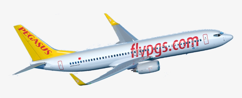 Myanmar National Airlines Provides Ground-handling - Pegasus Airlines Logi Png, transparent png #2512235