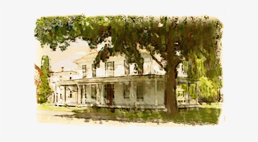 Goff House - Tree, transparent png #2513380