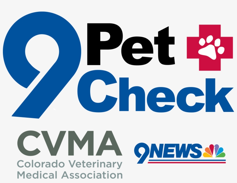 Each Year Wrah Participates In The 9pet Check With - Nine News, transparent png #2513742