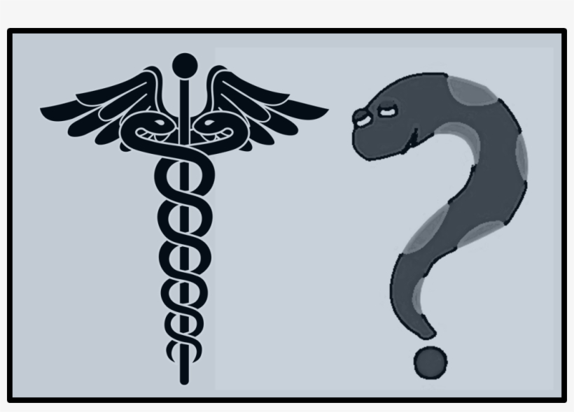 What Is The Difference Between The Different Types - Logo Of Doctors, transparent png #2514324