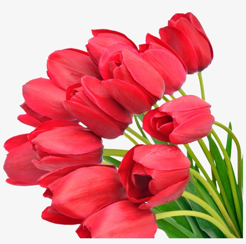 Bouquet Of Flowers Transparent Png File, transparent png #2515626