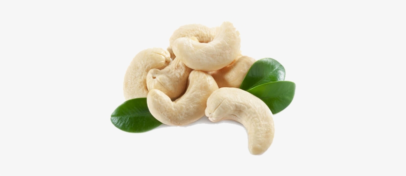 Cashew Nut Png - Hd Images Of Cashew, transparent png #2516567