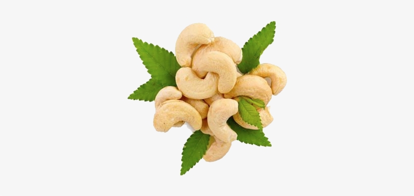 Cashew Png Hd - Hd Cashew, transparent png #2516645