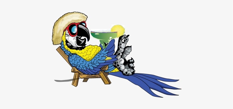 Castle Hills Spring Concert Series - Parrot Margarita, transparent png #2517087