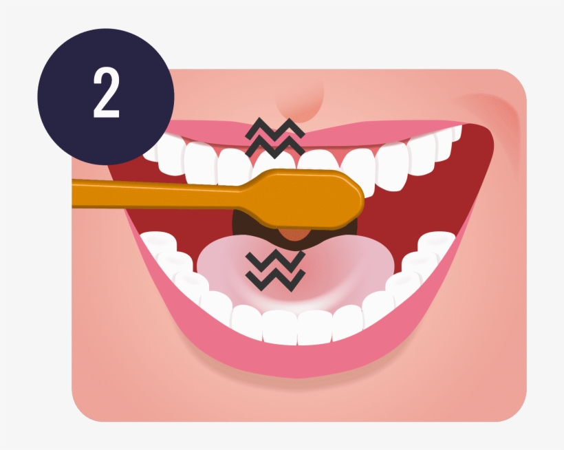 Free Download Brushing Teeth Png Clipart Tooth Brushing - Step Brushing Teeth Png, transparent png #2517945