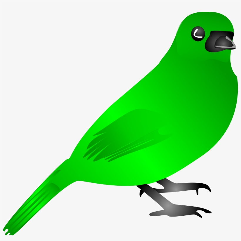 Animals And Birds Images - Birds Clip Art, transparent png #2518958