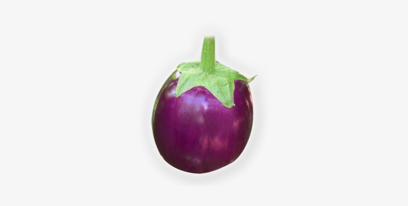 Eggplant, transparent png #2519290