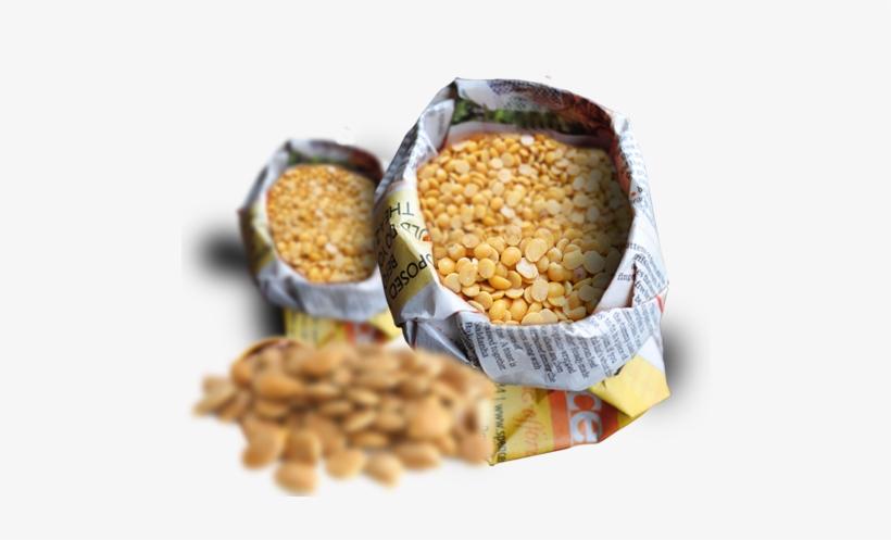 Venkateshwara Associates, transparent png #2519366