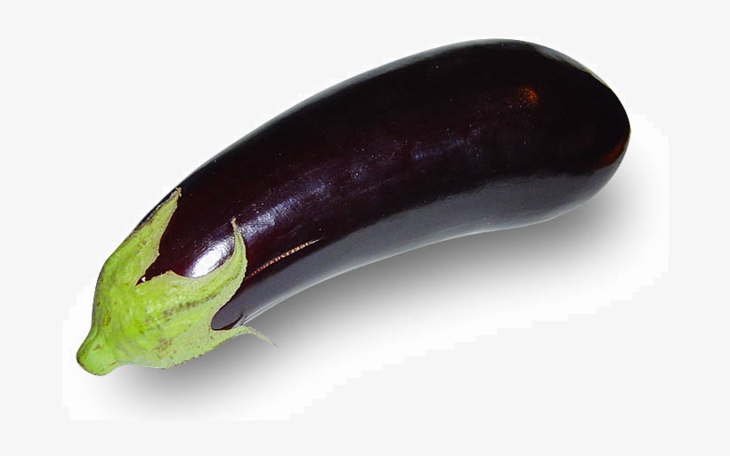 Holo Of Cats Nails And Robots Very - Aubergine, transparent png #2519600