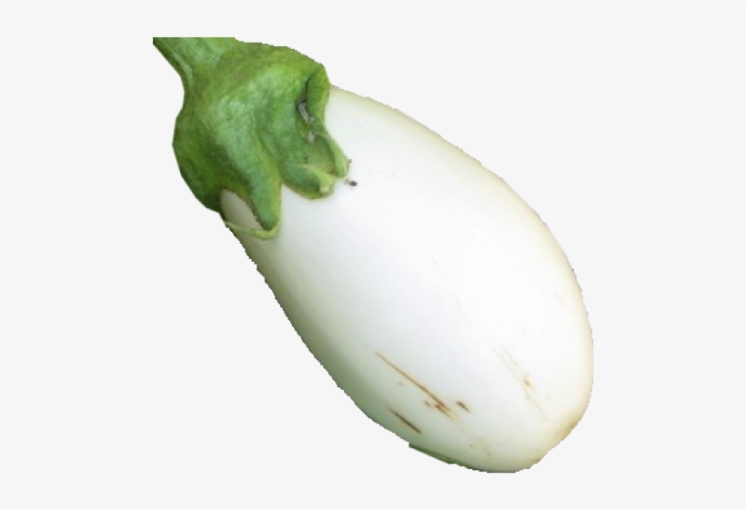 White Eggplant.