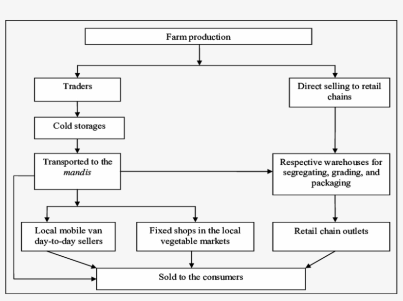 Marketing Chain For Brinjal - Diagram, transparent png #2519628