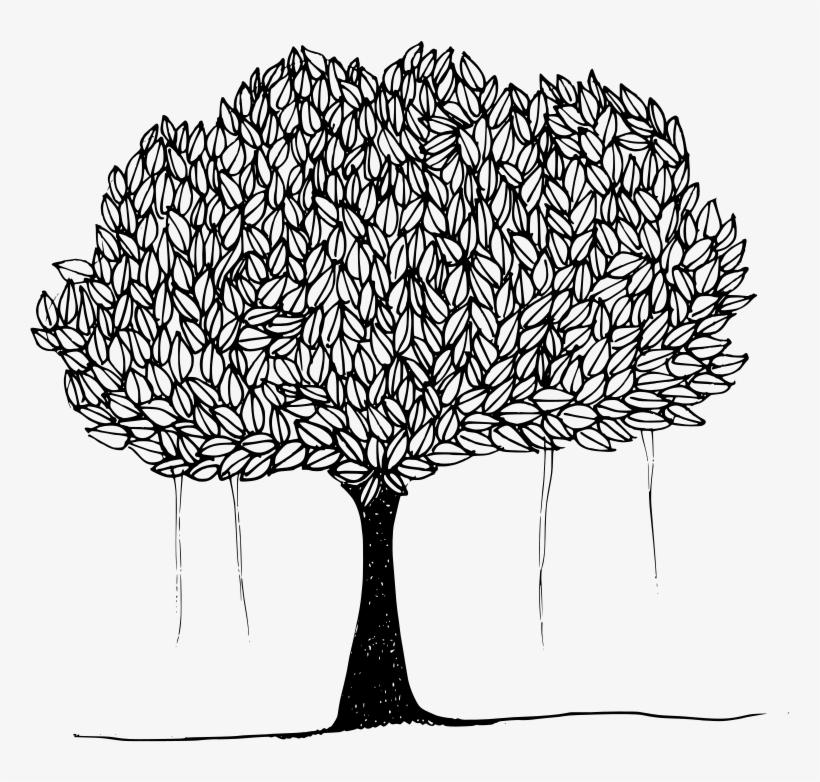 Medium Image - Peepal Tree Clipart Black And White, transparent png #2519721