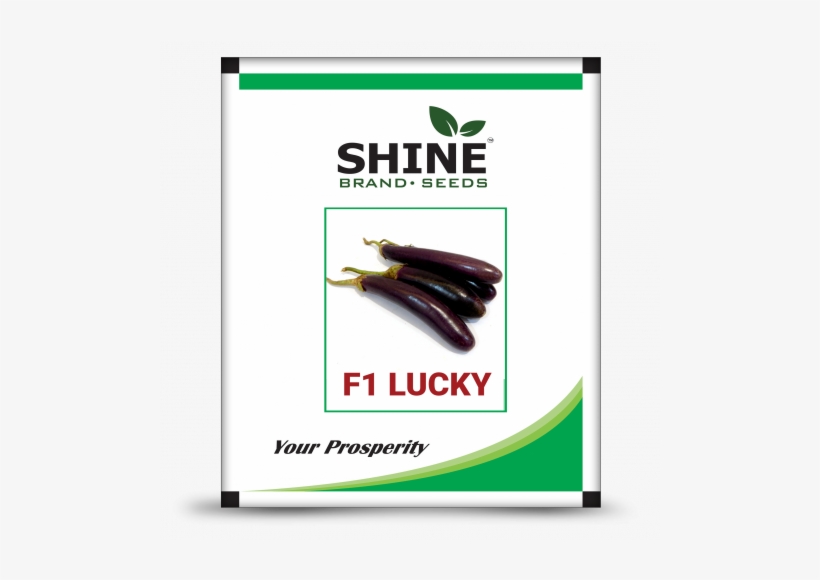 Brinjal F1-lucky - Marigold Brezza Orange, transparent png #2519744