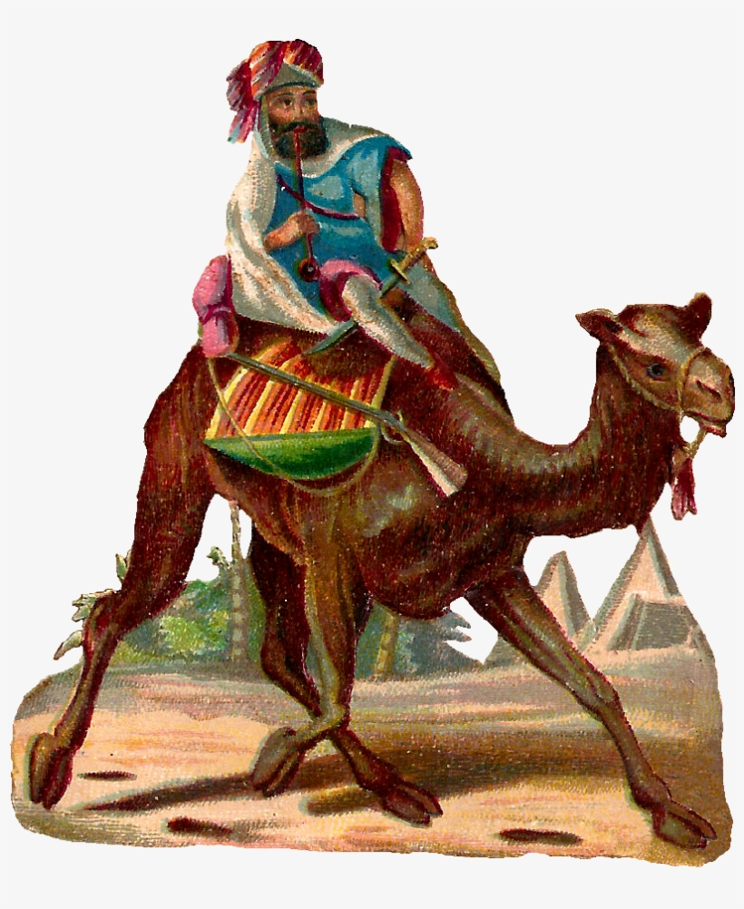 Camel Rider Image - Camel Rider Art, transparent png #2519826