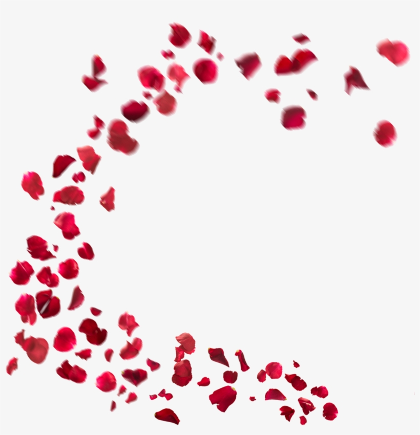 Some Flower's Effects Best Png For Edditing Picsart All Material Png