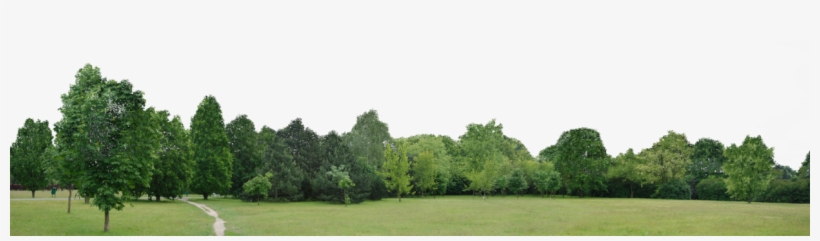 Christians Tree Line - Trees Png A Lot, transparent png #2520067