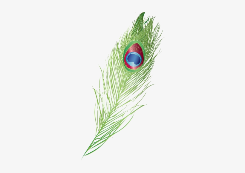 About The Company - Peafowl, transparent png #2520476