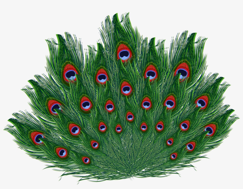 More Information - Galliformes, transparent png #2520857