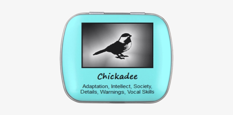 Chickadee Bird Meaning, Spirit Guide - Chickadee, transparent png #2521247