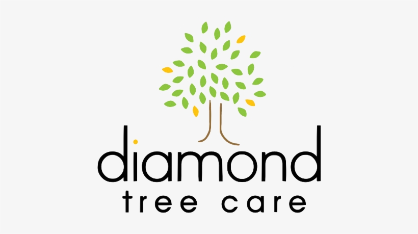 Diamond Tree Care - Certified Arborist, transparent png #2521345