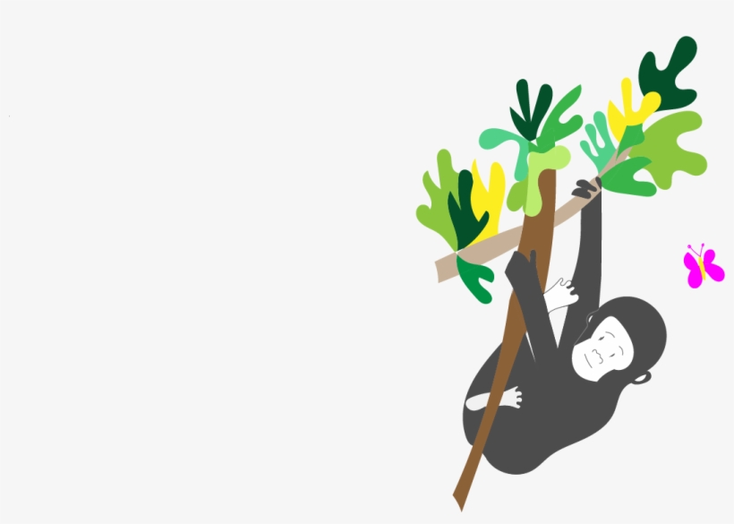 1 Reply 0 Retweets 3 Likes - Mountain Gorilla, transparent png #2521451