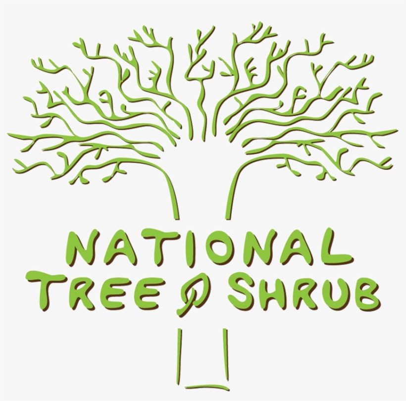 National Tree & Shrub, transparent png #2521622