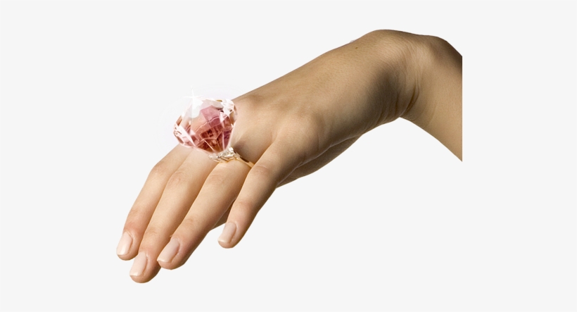 The Story Begins With A Wedding Planner Meeting Where - Fuet, transparent png #2522063