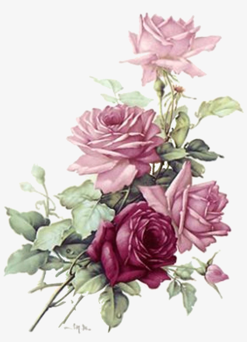 Roses - Transparent Burgundy Flowers Png, transparent png #2522570