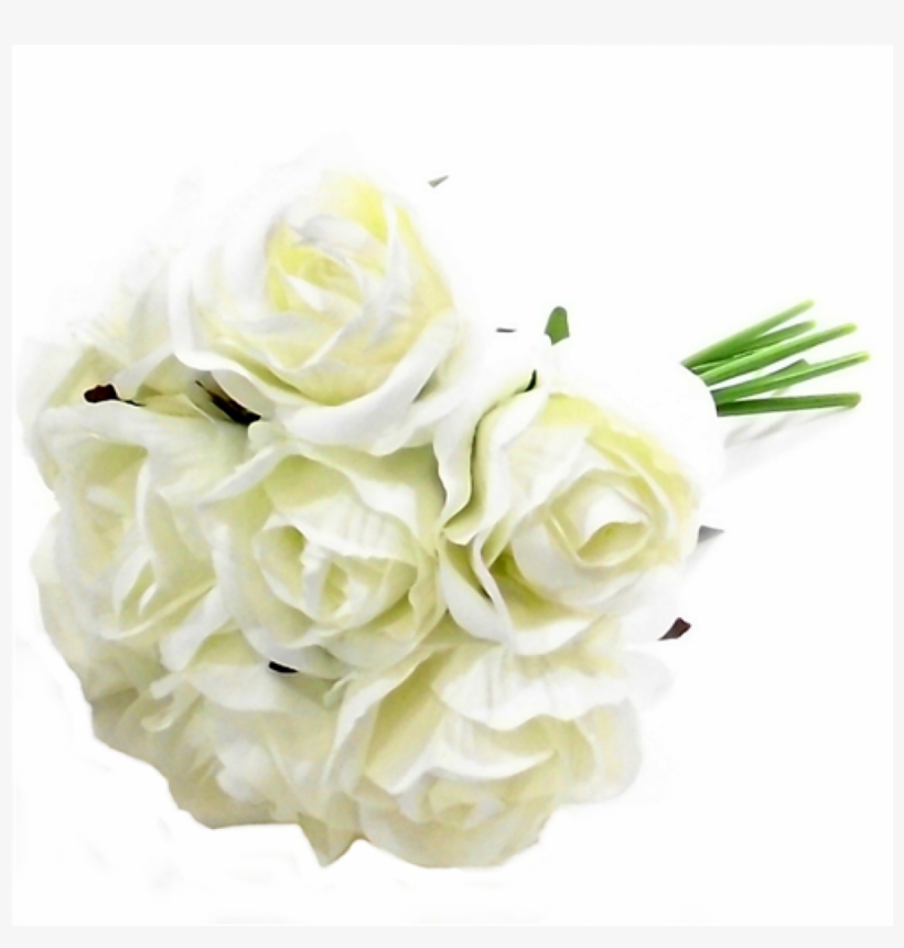 Bundle Of 9 Ivory Silk Roses - Rose, transparent png #2522896