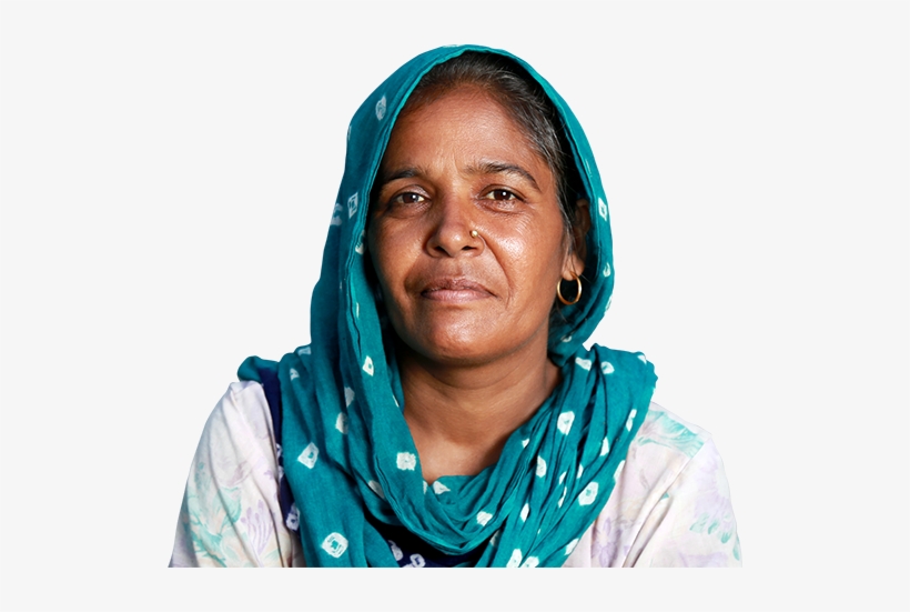 Indian Woman Who Is Facing Eviction From Tchc Due To - Lady, transparent png #2524141