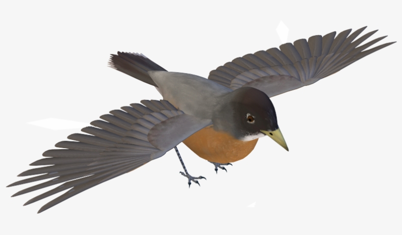 Birds Png Images - European Swallow, transparent png #2525437