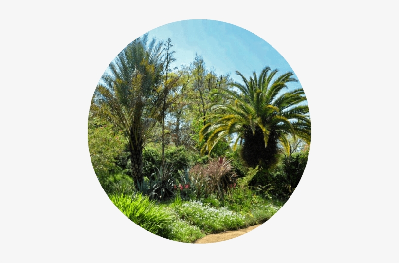 Light Gardenhikari No Niwa - Kitagawa, transparent png #2526164