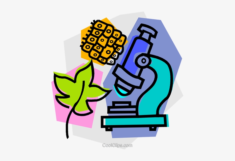 Microscope With Leaf Royalty Free Vector Clip Art Illustration - Applied Electronics And Instrumentation, transparent png #2526294
