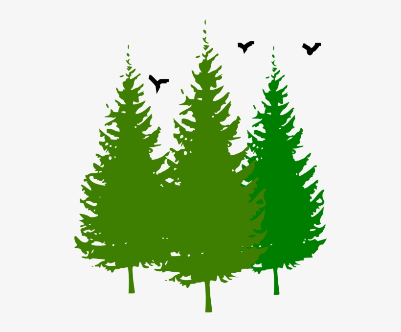 Small - Pine Trees Clip Art, transparent png #2526531