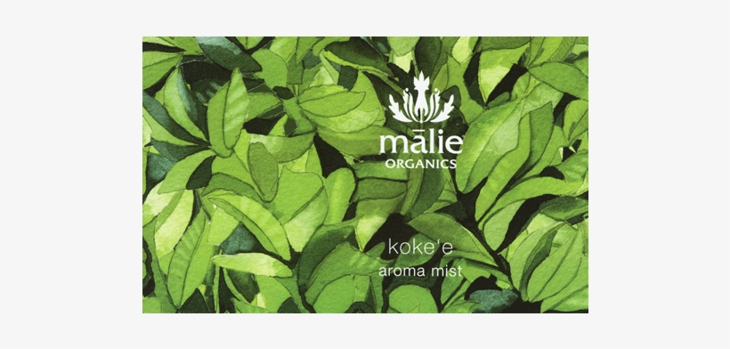 Malie Organics Conditioner - Koke'e, transparent png #2526555