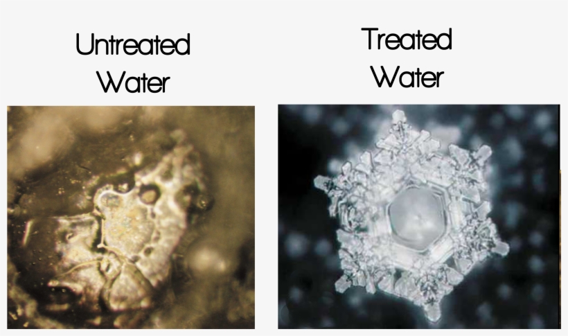 Emoto's Photographs Documented These Effects On The - Masaru Emoto, transparent png #2526941