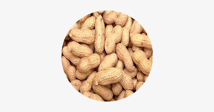 Peanuts Groundnuts - Dry Peanut, transparent png #2527643