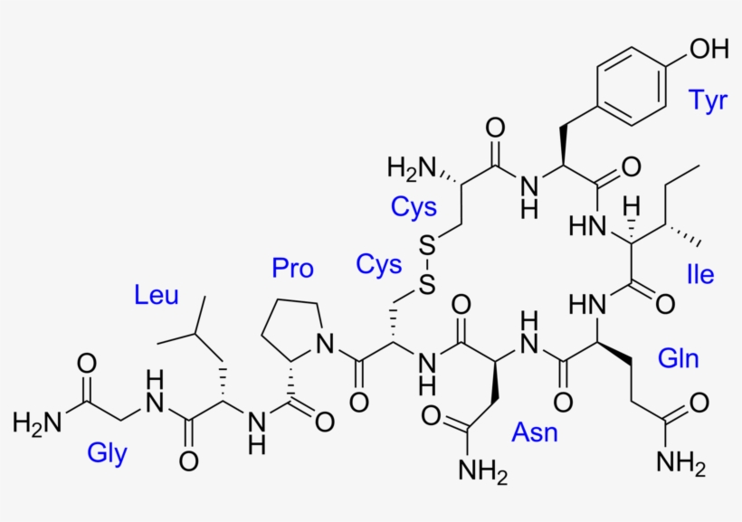 Oxytocin Chemical Structure, transparent png #2527647