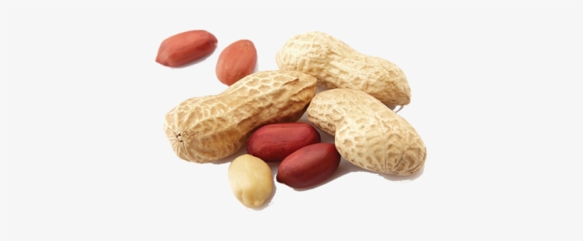 Peanuts/ Groundnut Kernels - Bounce Ball Peanut Protein Blast 49g, transparent png #2527797