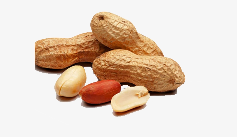 Peanut - Clinical Your Doctor, transparent png #2528228