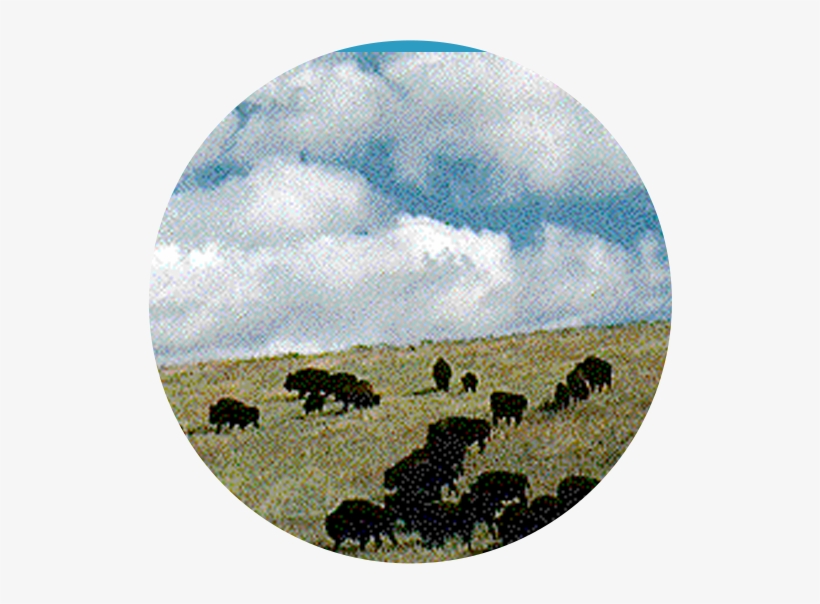 Natural Resources Of The Plains People, transparent png #2528611