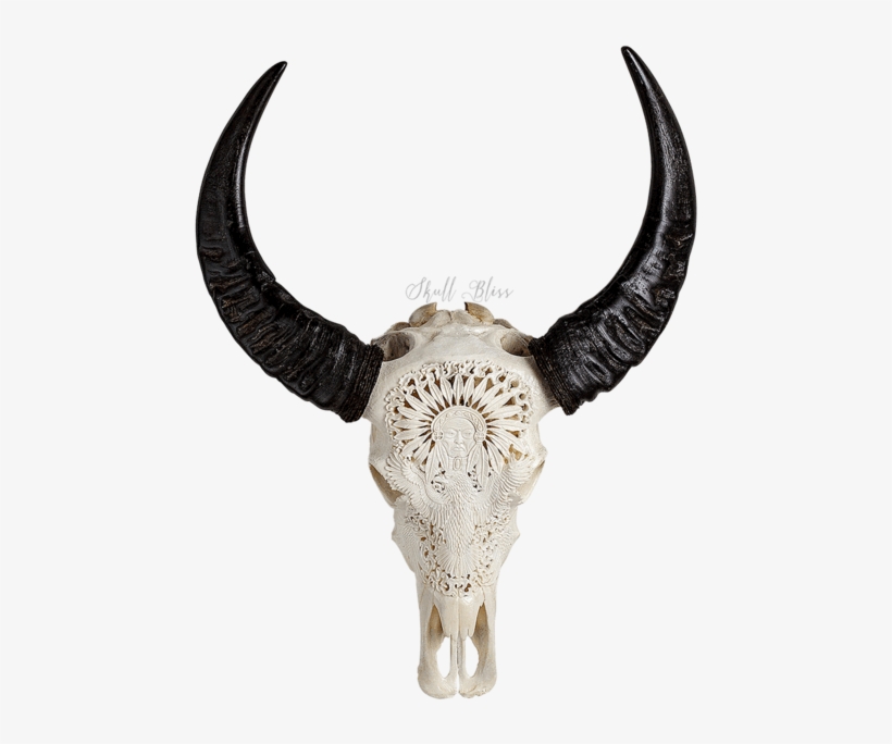 Carved Buffalo Skull - Carabao Horn Png, transparent png #2528730
