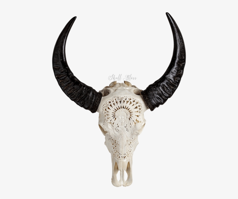 Carved Buffalo Skull Carabao Horn Png Free Transparent PNG Download PNGkey
