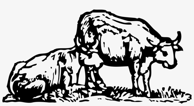 Ox Cattle Water Buffalo Farm Drawing - Farmer With Ox, transparent png #2528843