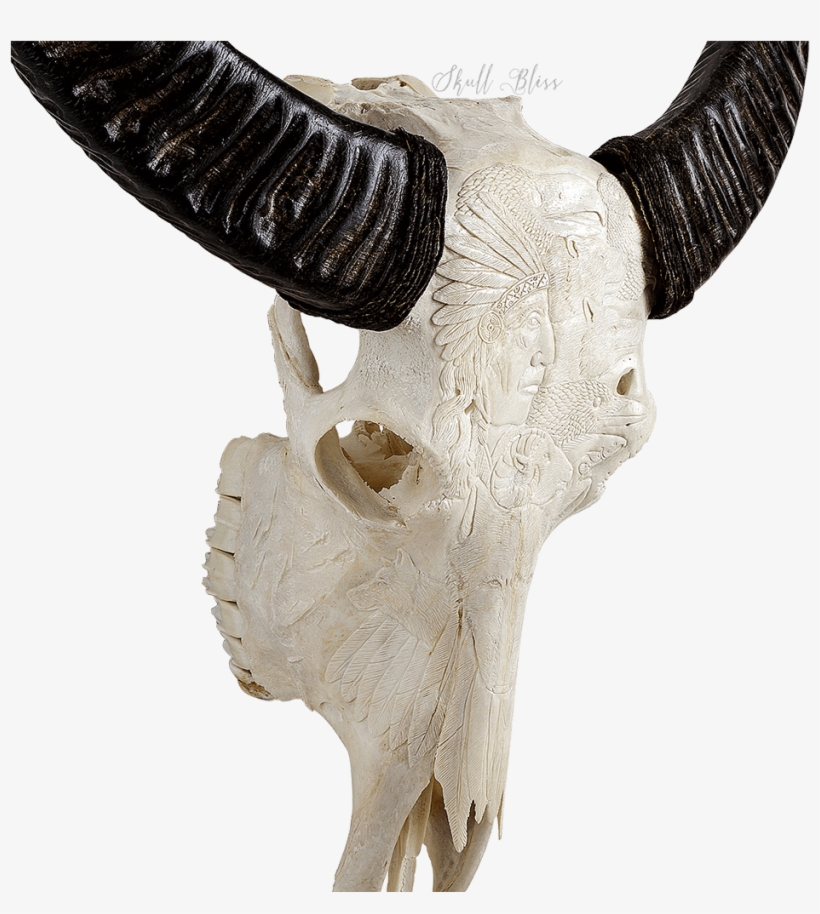 Skull, transparent png #2529049