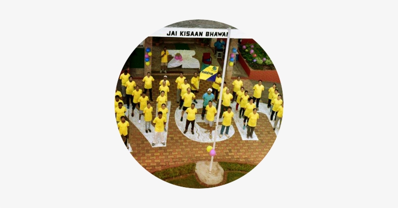 Where We Come From - Birthday Cake, transparent png #2529521