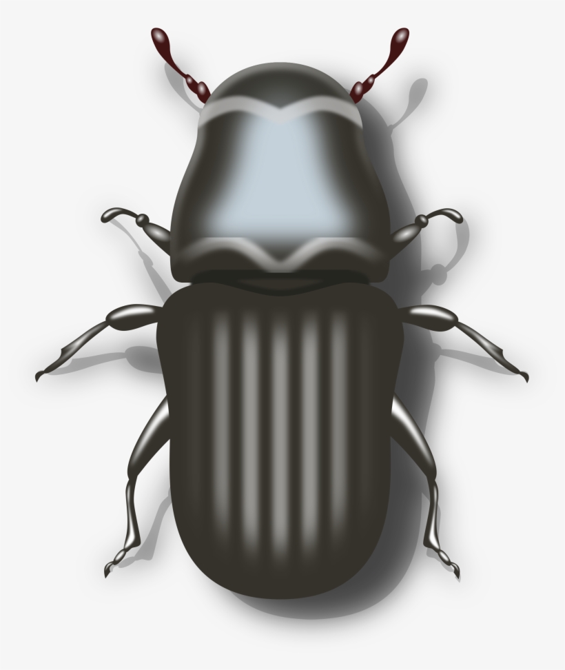 Biker Vector Motorcycle Clipart - Beetle Clipart Png, transparent png #2530792